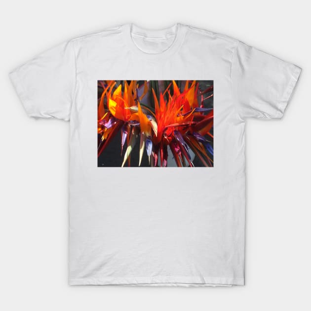 Bird of Paradise 1 T-Shirt by ephotocard